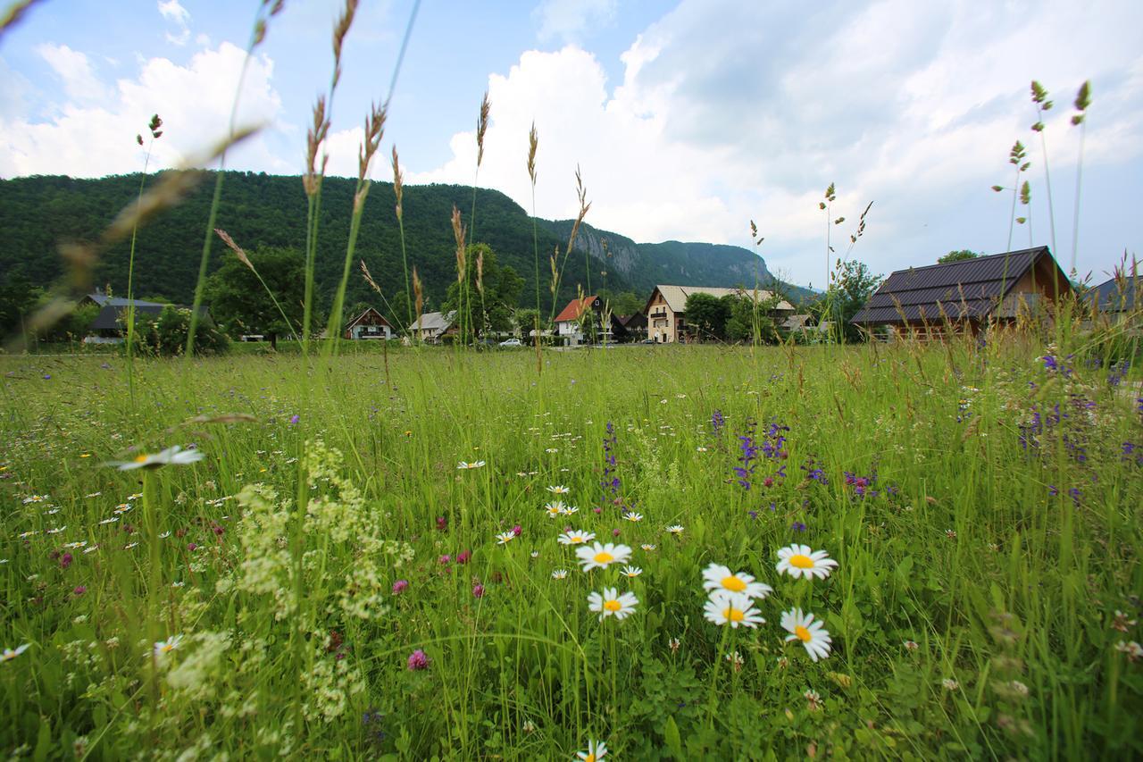 Hisa Pr'Pristavc Hotel Bohinj Exterior foto